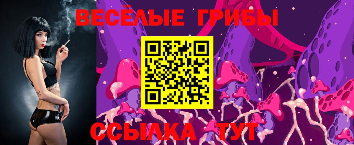 Мыски  Псилоцибиновые грибы MAGIC MUSHROOMS  Вход с VPN 