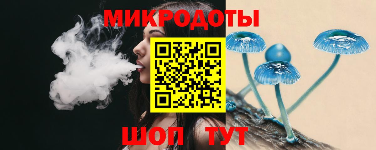 Галлюциногенные грибы мицелий Мыски